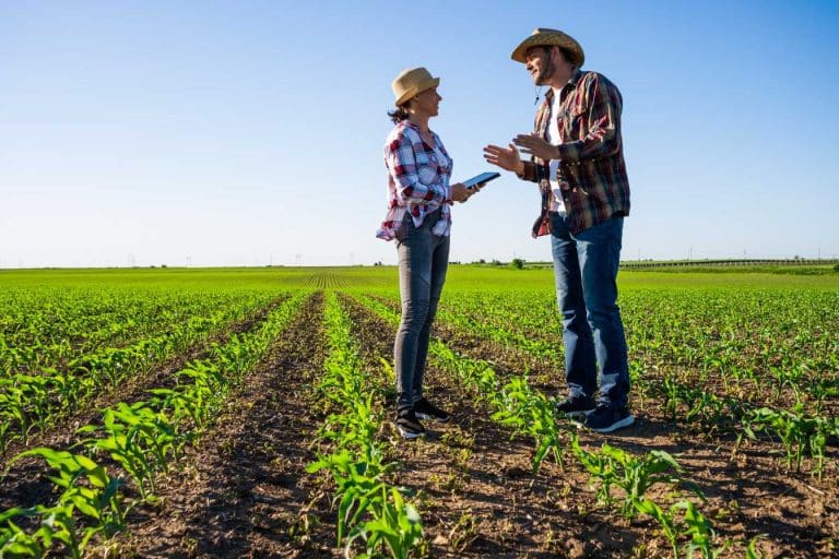 agriaffaire plateforme agricole 1