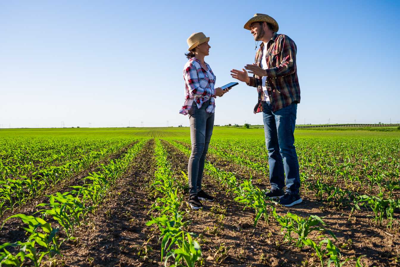 agriaffaire plateforme agricole 1